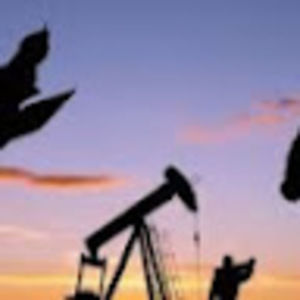 Meet your Posher, Corey